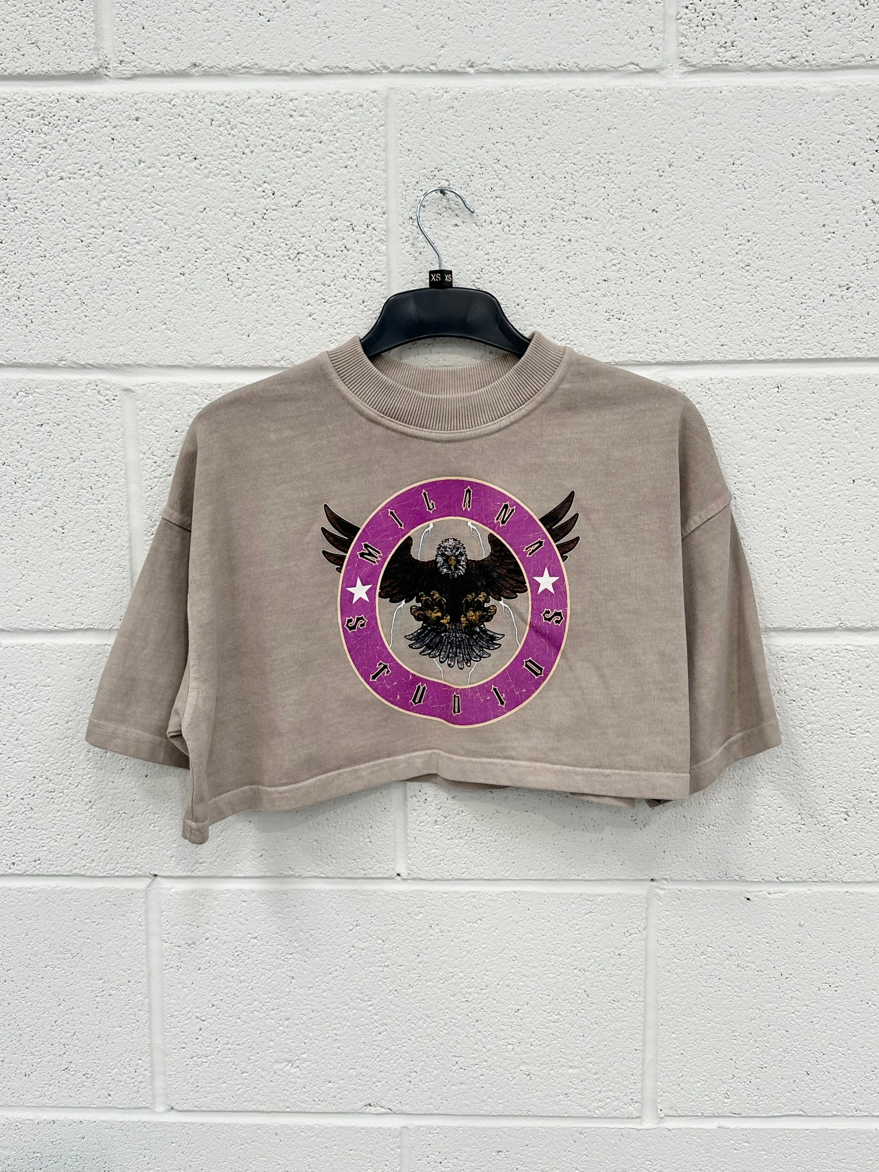 #H11 Washed Taupe Eagle Cropped Heavyweight T-shirt.