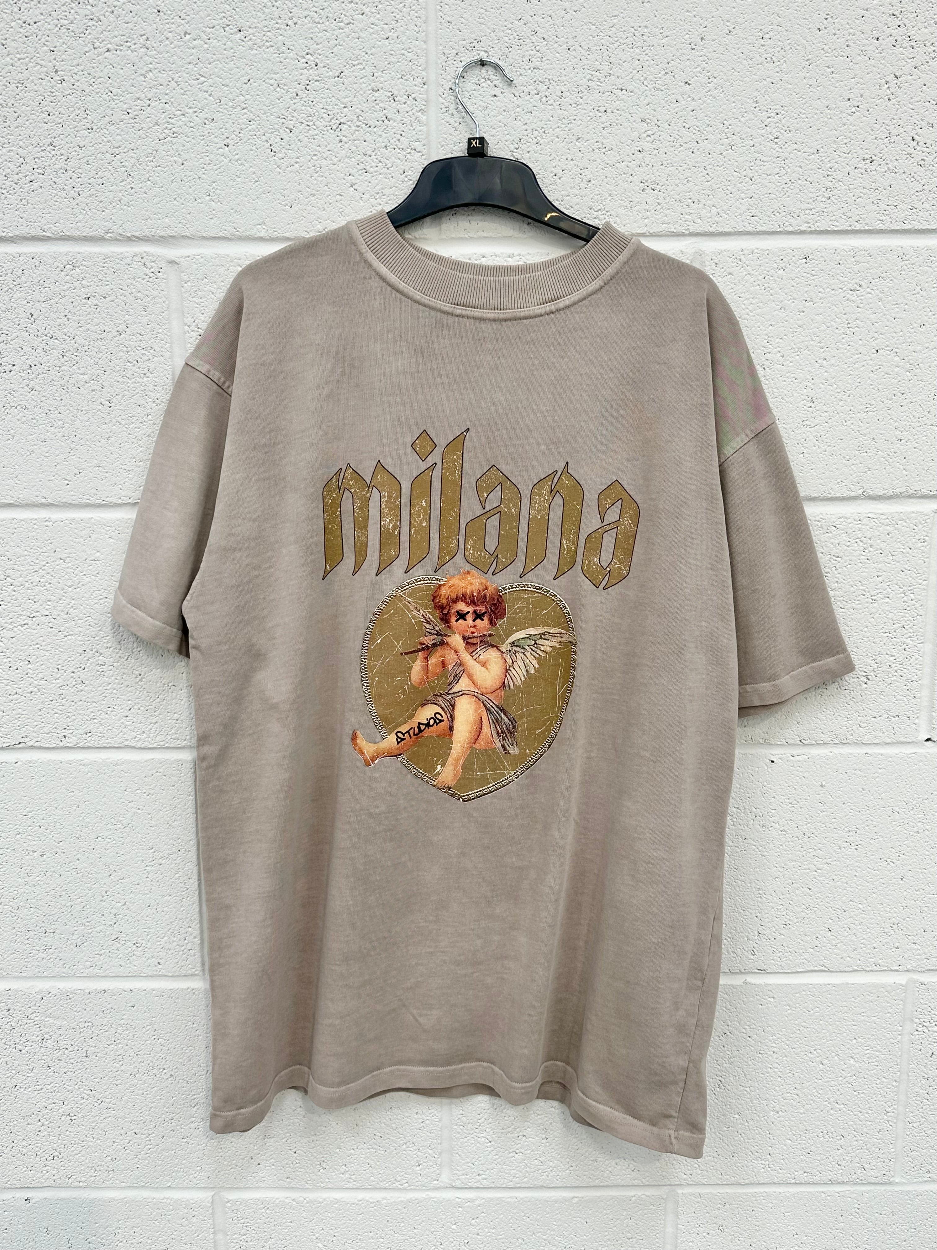 #H15 Washed Taupe Cherub Heavyweight T-shirt.