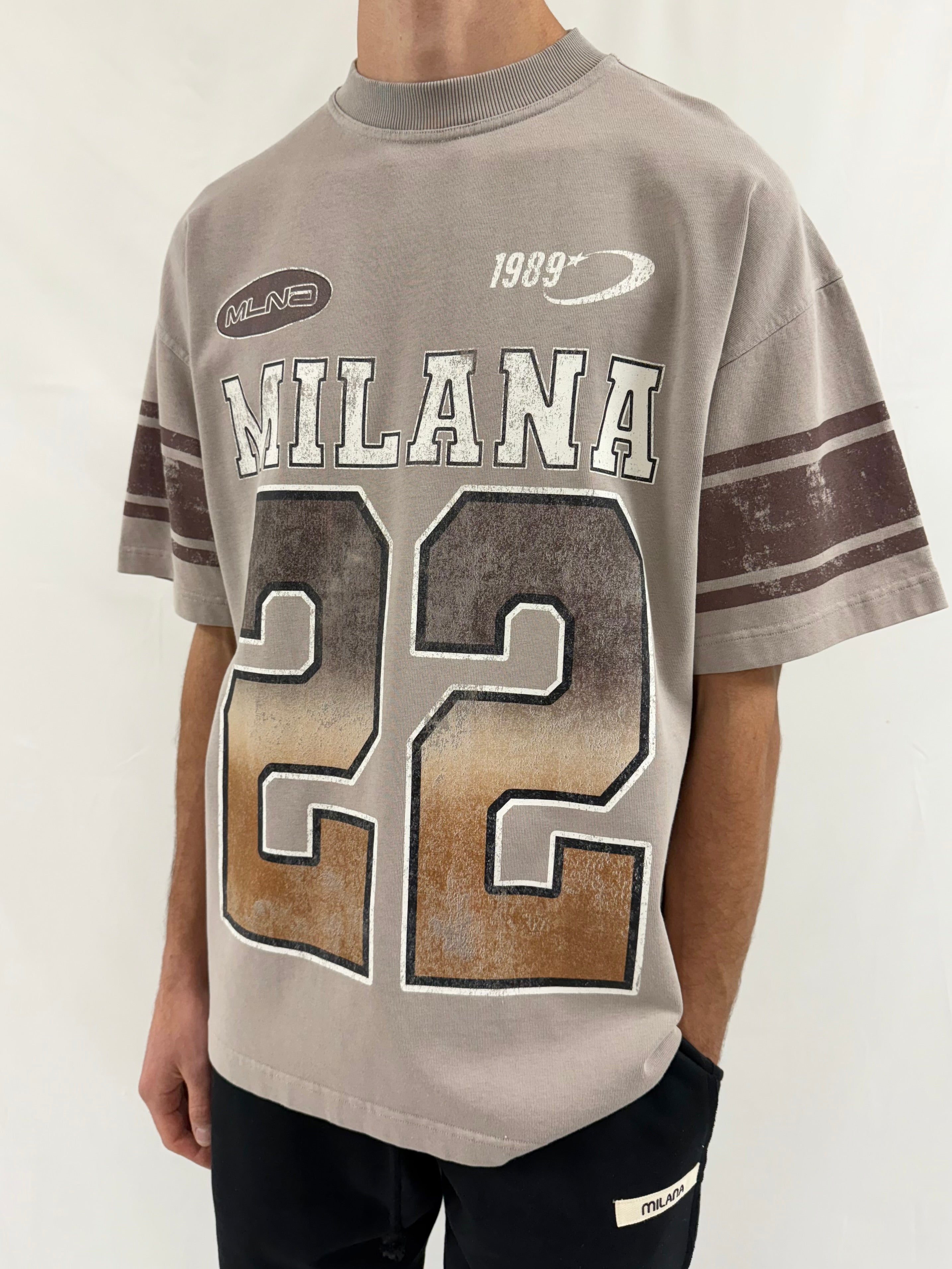 Washed Taupe Vintage 22 Eagle Heavyweight T-shirt.