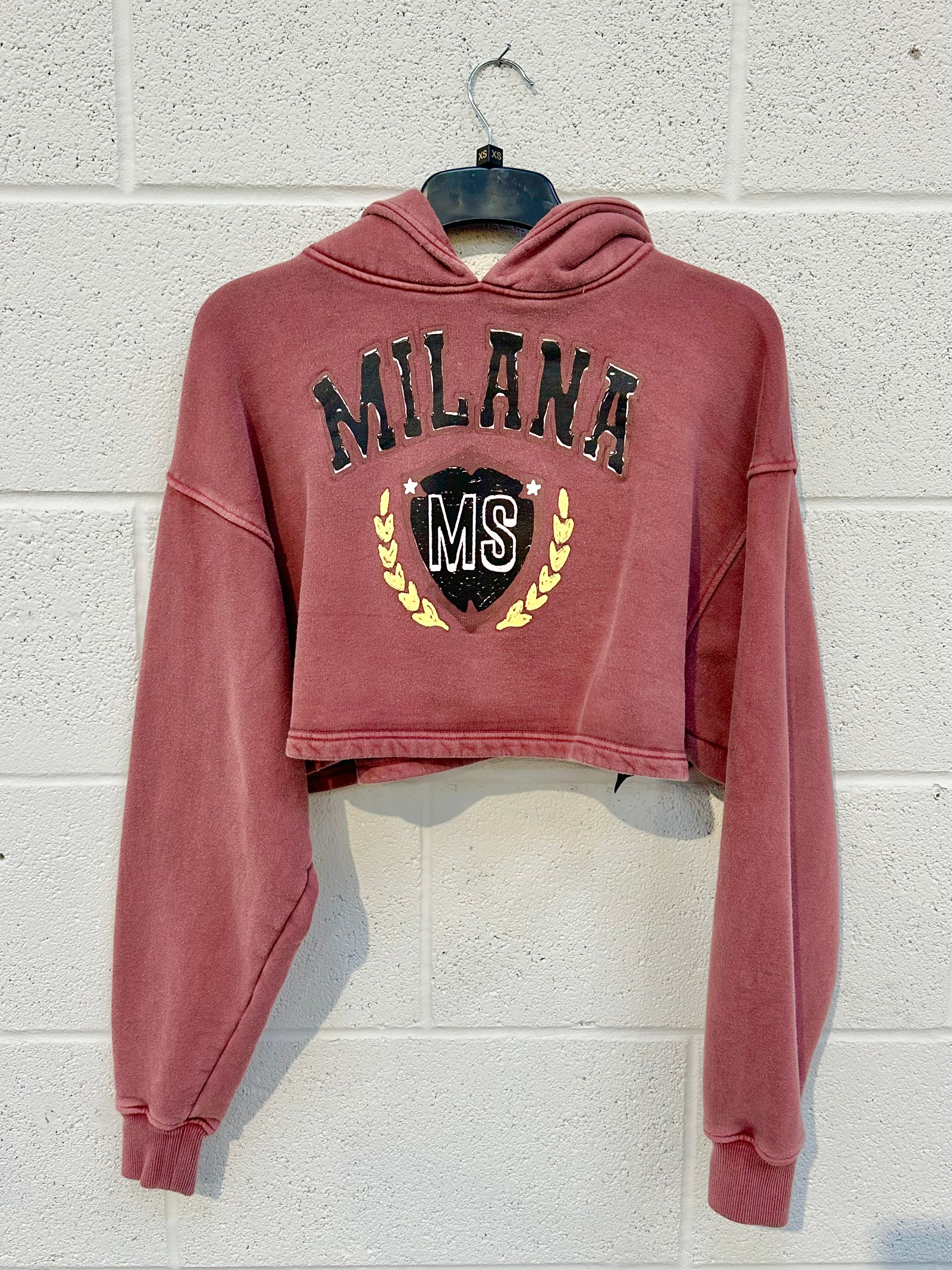 #AA1 Washed Burgundy Cropped Heavyweight Hoodie.