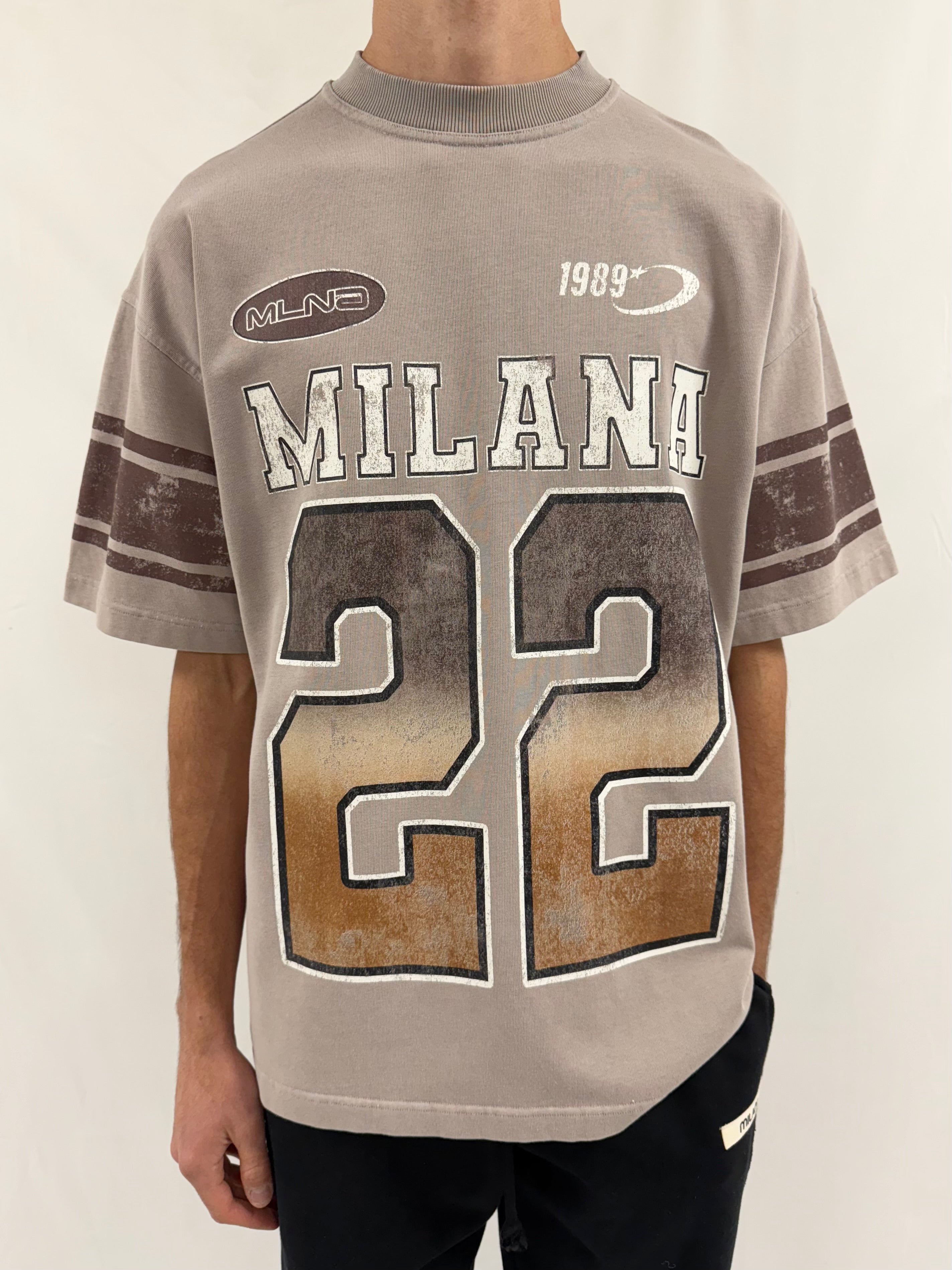 Washed Taupe Vintage 22 Eagle Heavyweight T-shirt.