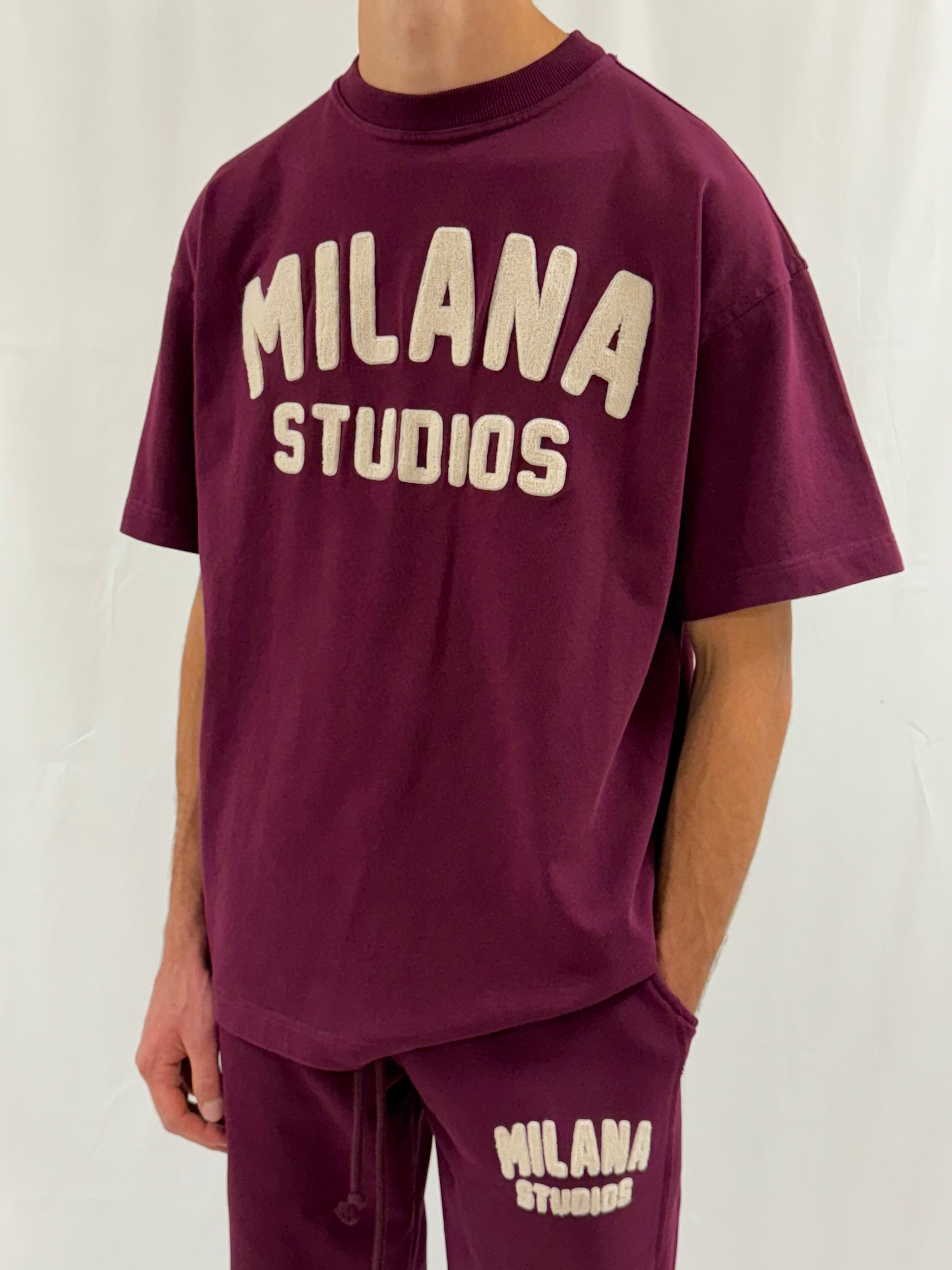 Deep Burgundy Teddy Heavyweight T-shirt.