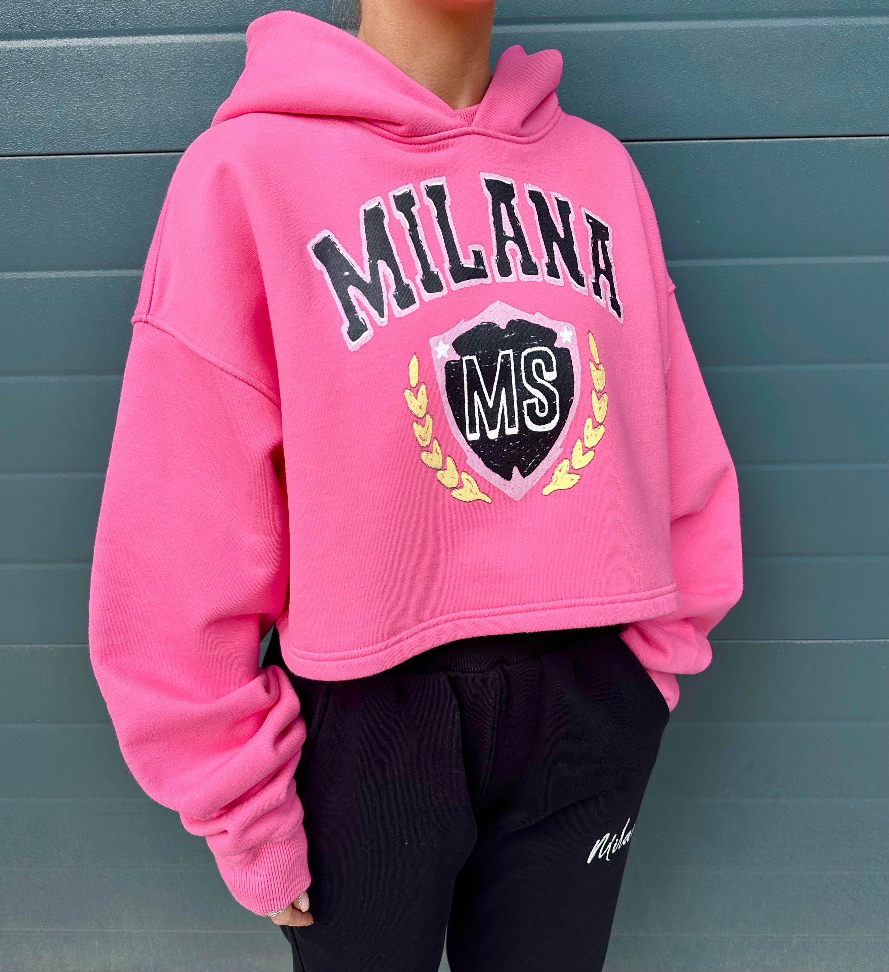 Hot Pink Crest Cropped Heavyweight Hoodie.