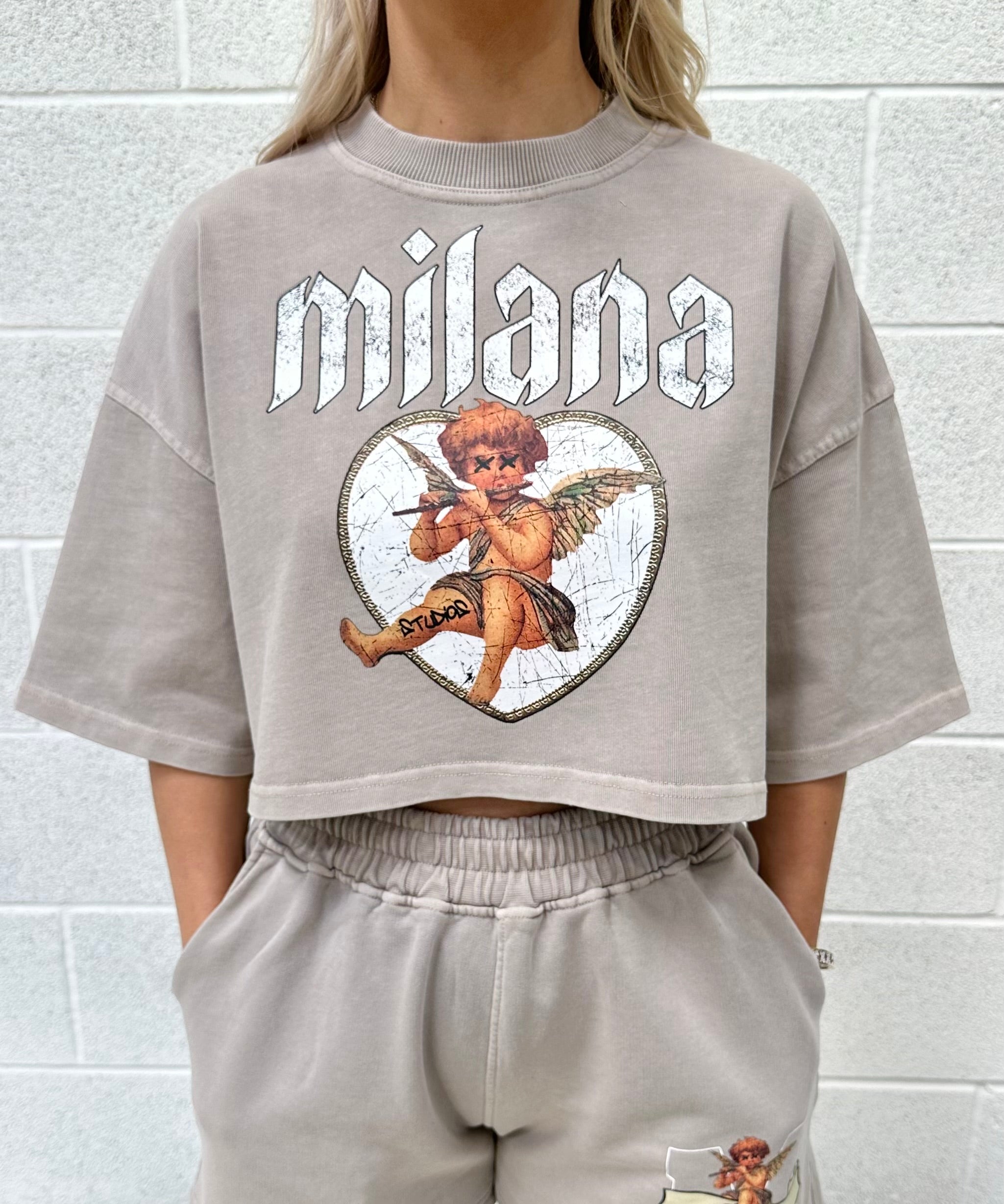 Washed Taupe Heavyweight Cropped T-shirt.