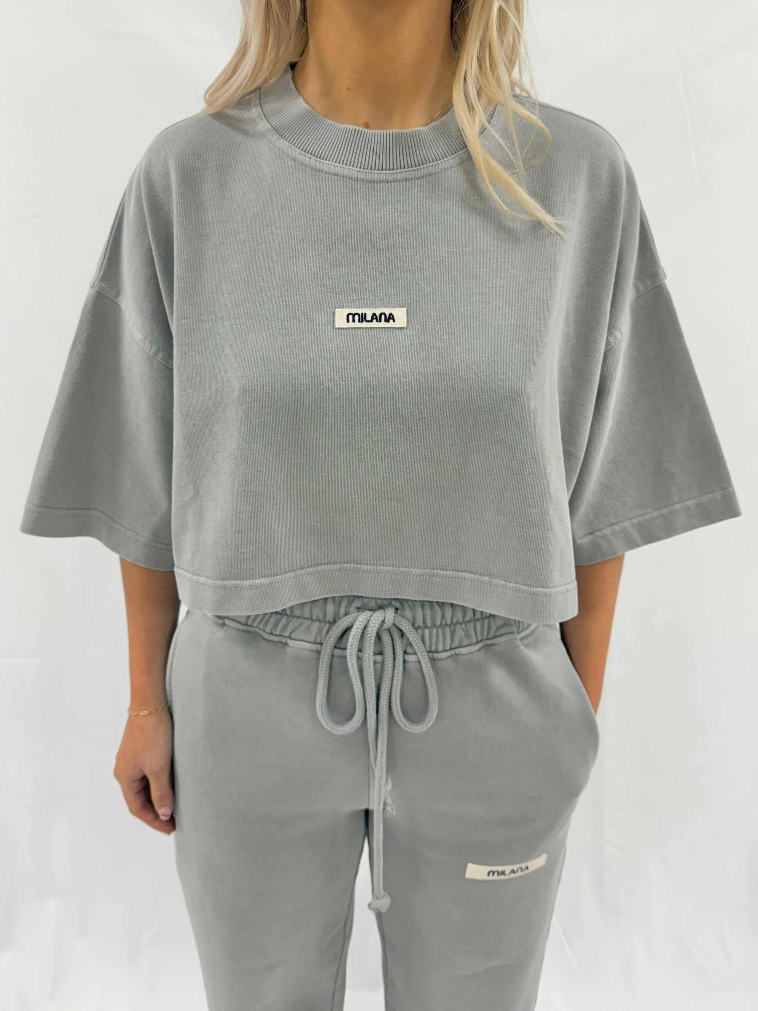 Washed Ash Grey Core Heavyweight Cropped T-shirt.