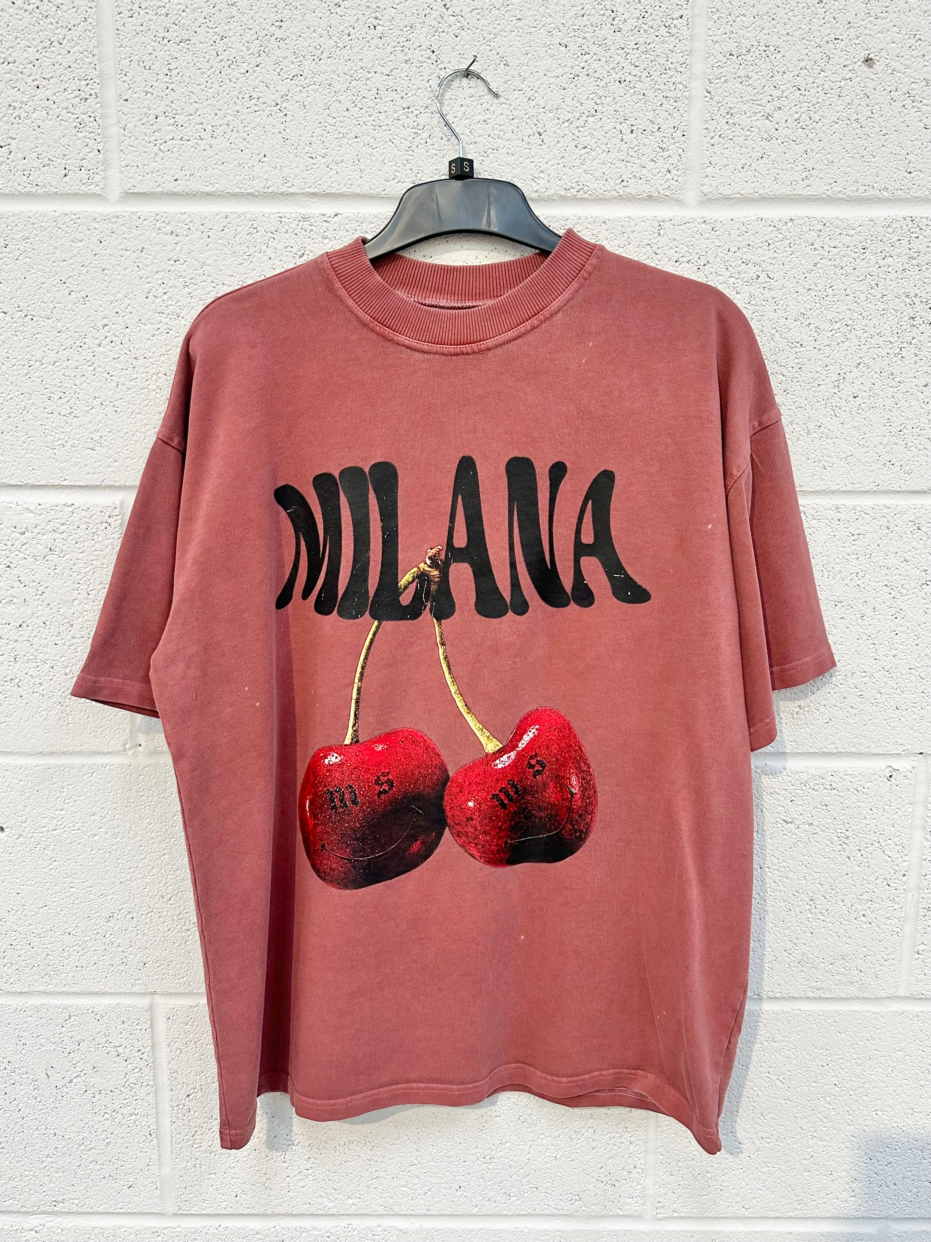 #AA10 Washed Burgundy Cherry Heavyweight T-shirt.