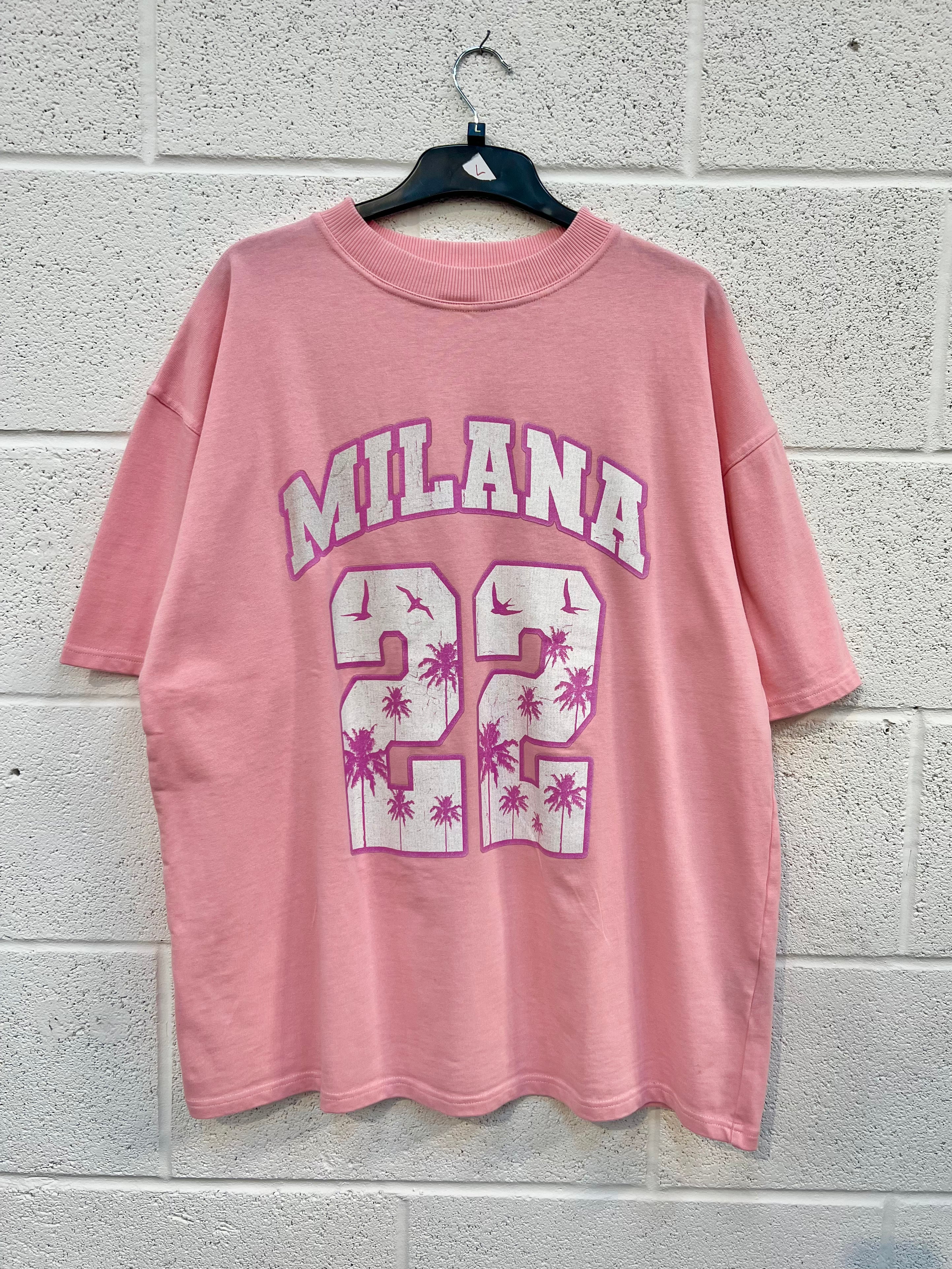 #CC21 Baby Pink Palm 22 Heavyweight T-shirt.