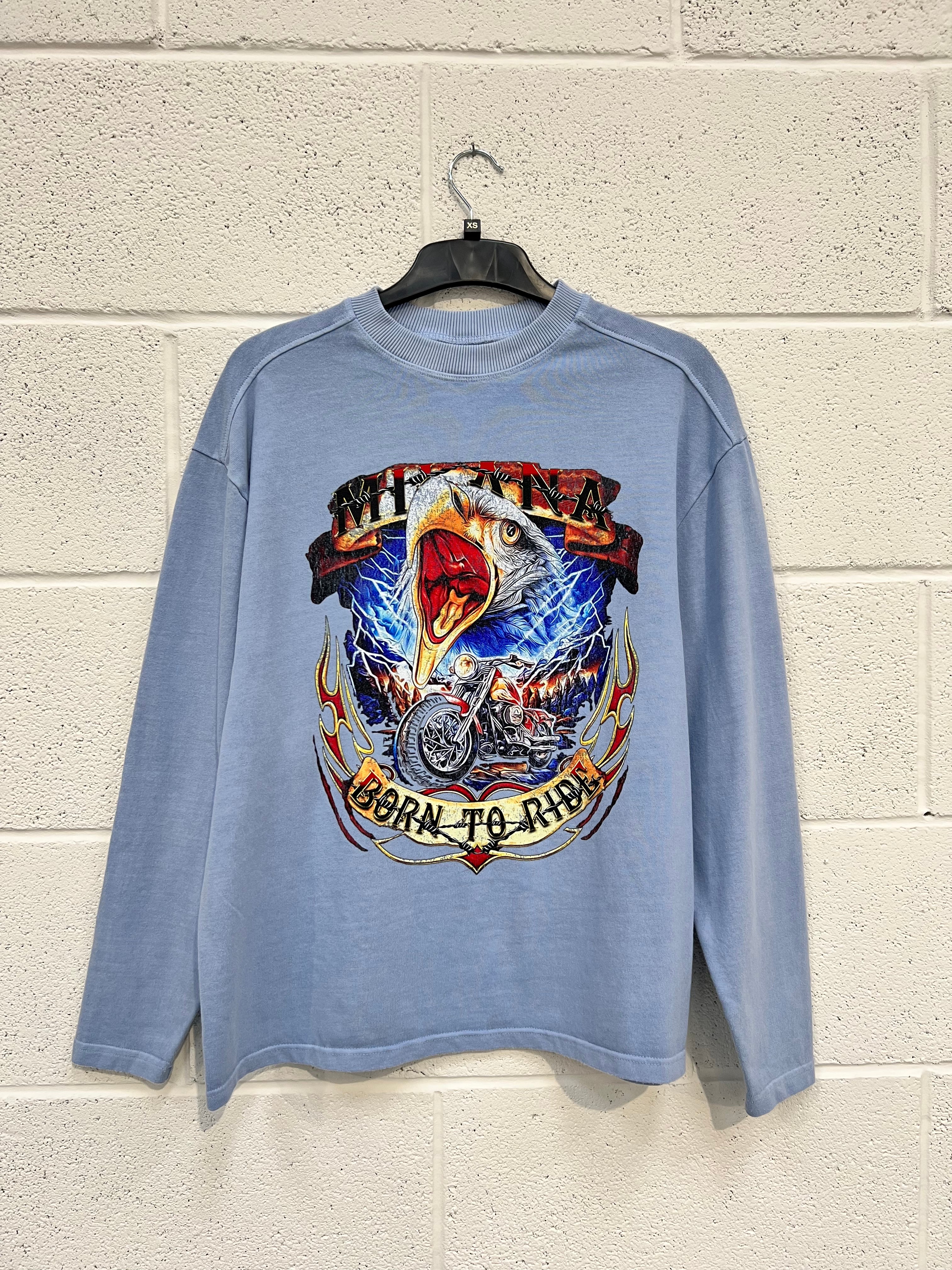 #F1 Powder Blue Eagle Heavyweight Long Sleeve.